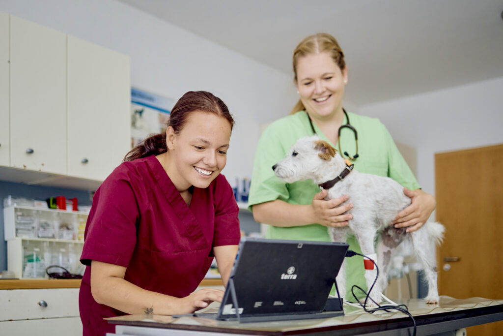 19 Behandlung Terrier Tierarztpraxis Kerpen